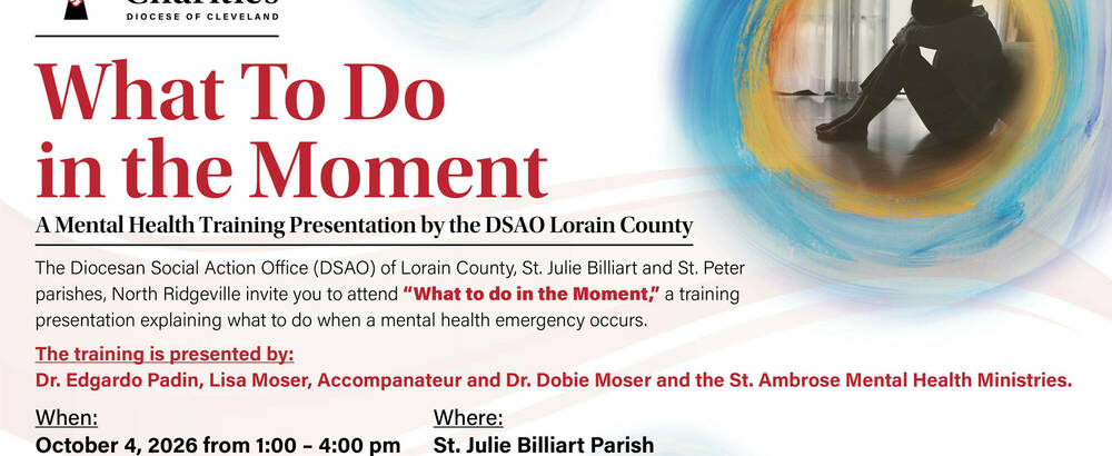 What to Do in the Moment Mental Health Training